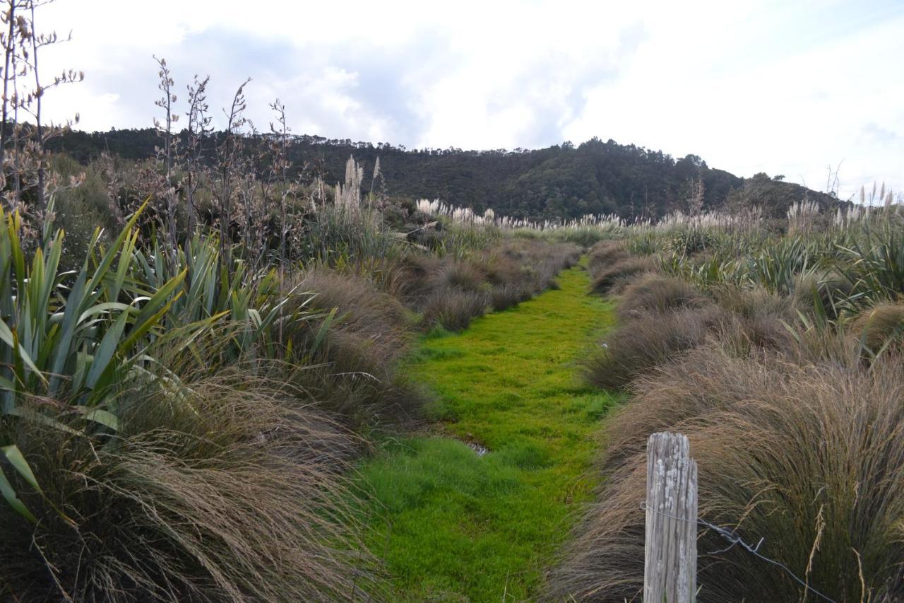 Manuka Views - Close To Thermal Hot Pools Kaukapakapa Exterior foto